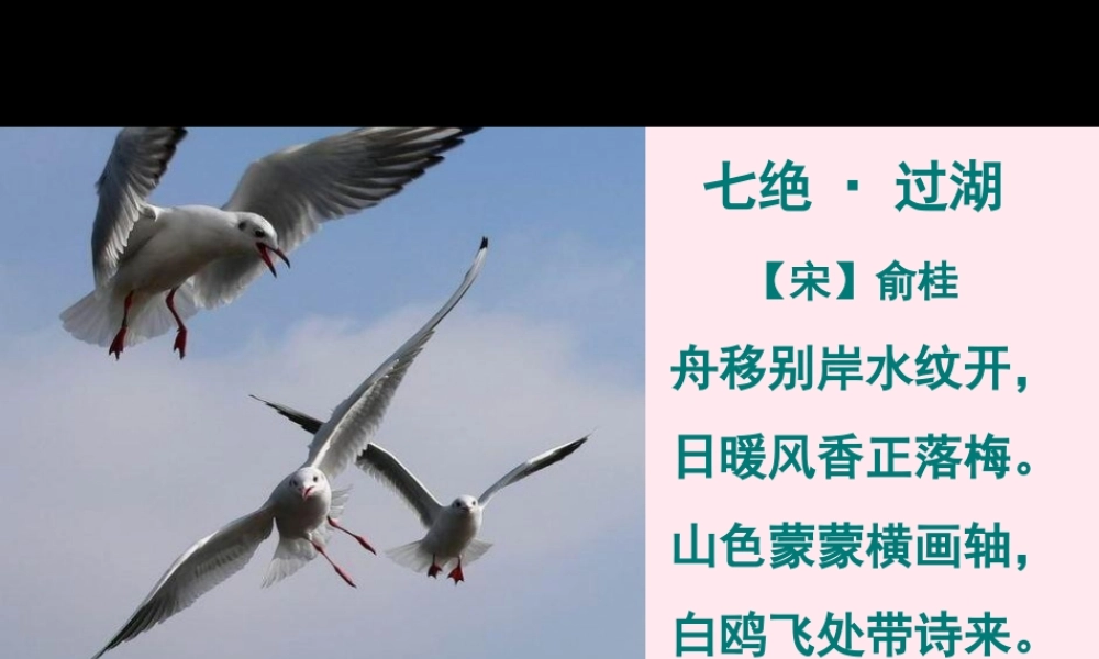 六年级语文上册 第七组 21老人与海鸥课堂教学课件2 新人教版-新人教版小学六年级上册语文课件