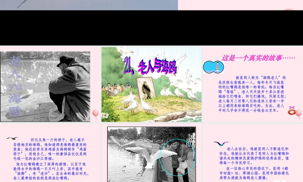 六年级语文上册 第七组 21老人与海鸥课堂教学课件2 新人教版-新人教版小学六年级上册语文课件