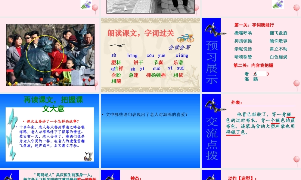 六年级语文上册 第七组 21老人与海鸥课堂教学课件2 新人教版-新人教版小学六年级上册语文课件