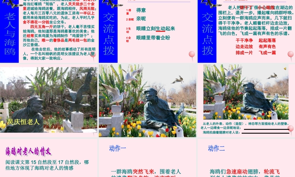 六年级语文上册 第七组 21老人与海鸥课堂教学课件2 新人教版-新人教版小学六年级上册语文课件