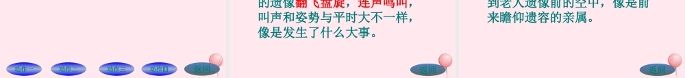 六年级语文上册 第七组 21老人与海鸥课堂教学课件2 新人教版-新人教版小学六年级上册语文课件