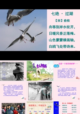 六年级语文上册 第七组 21老人与海鸥课堂教学课件2 新人教版-新人教版小学六年级上册语文课件