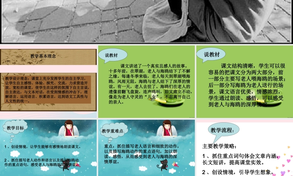 六年级语文上册 第七组 21老人与海鸥课堂教学课件3 新人教版-新人教版小学六年级上册语文课件