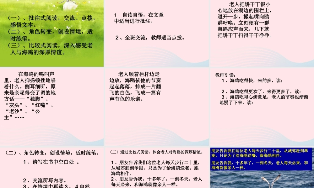 六年级语文上册 第七组 21老人与海鸥课堂教学课件3 新人教版-新人教版小学六年级上册语文课件
