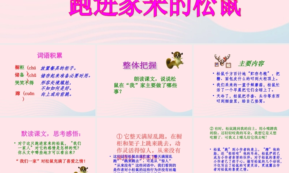 六年级语文上册 第七组 22 跑进家来的松鼠课件2 新人教版-新人教版小学六年级上册语文课件