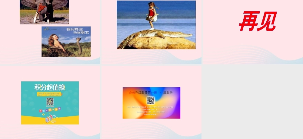 六年级语文上册 第七组 22 跑进家来的松鼠课件2 新人教版-新人教版小学六年级上册语文课件