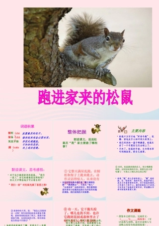 六年级语文上册 第七组 22 跑进家来的松鼠课件2 新人教版-新人教版小学六年级上册语文课件