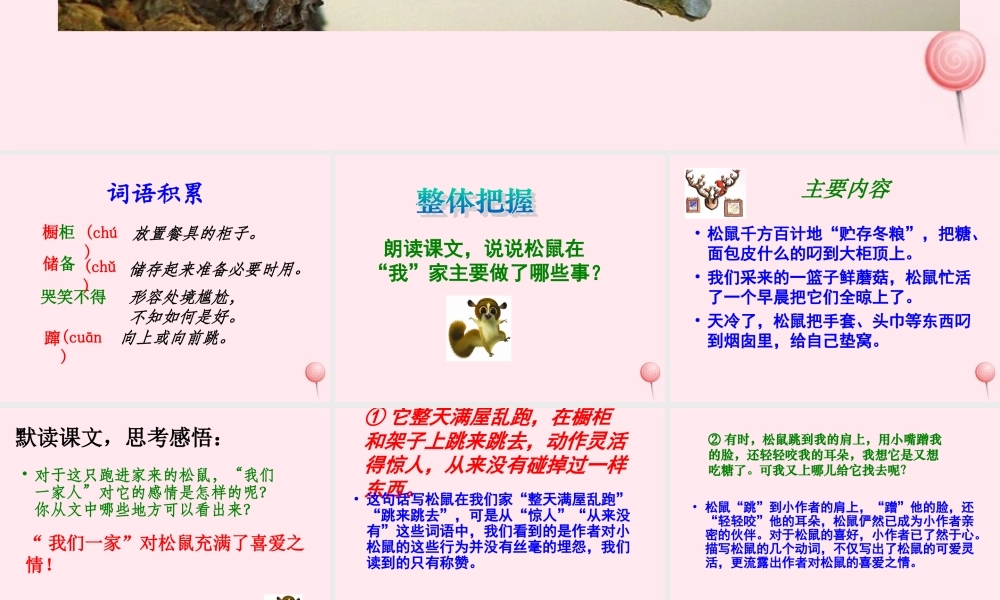 六年级语文上册 第七组 22跑进家来的松鼠课堂教学课件3 新人教版-新人教版小学六年级上册语文课件