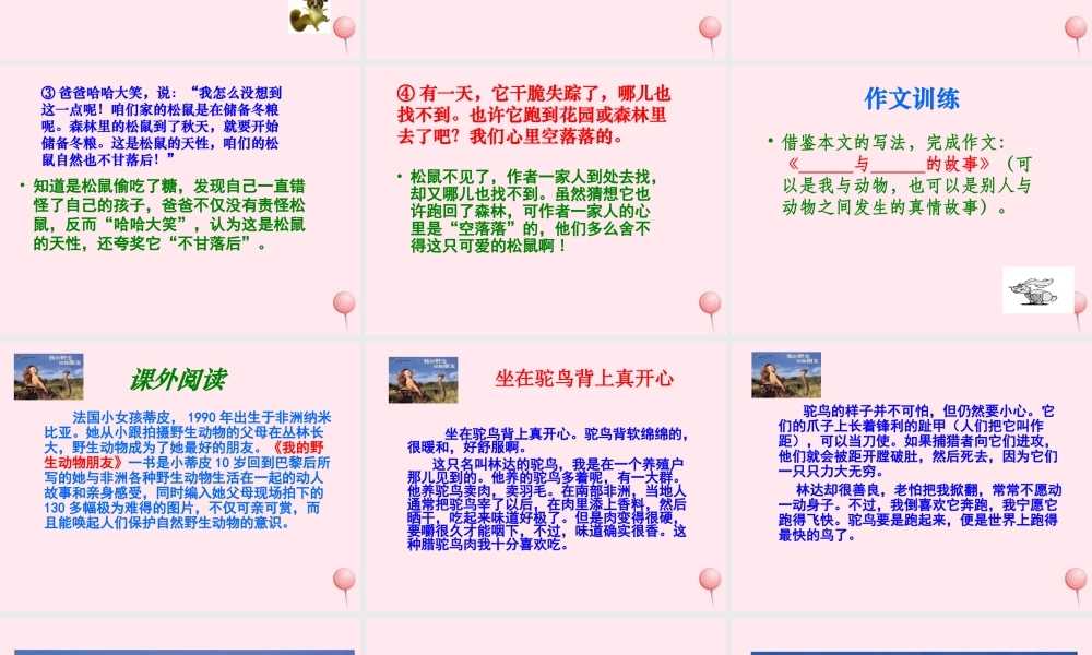 六年级语文上册 第七组 22跑进家来的松鼠课堂教学课件3 新人教版-新人教版小学六年级上册语文课件