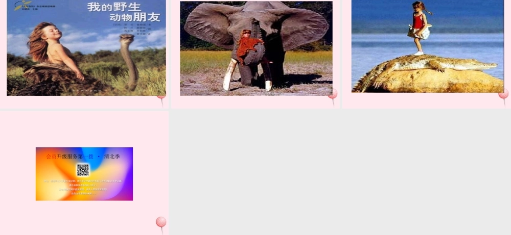 六年级语文上册 第七组 22跑进家来的松鼠课堂教学课件3 新人教版-新人教版小学六年级上册语文课件