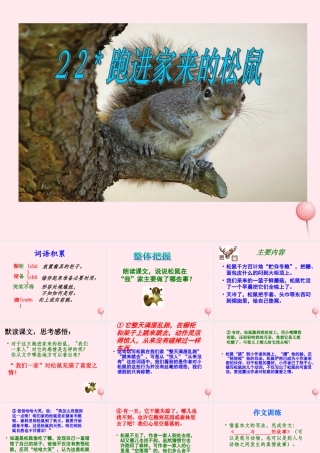 六年级语文上册 第七组 22跑进家来的松鼠课堂教学课件3 新人教版-新人教版小学六年级上册语文课件