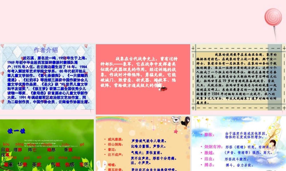 六年级语文上册 第七组 23最后一头战象课堂教学课件1 新人教版-新人教版小学六年级上册语文课件