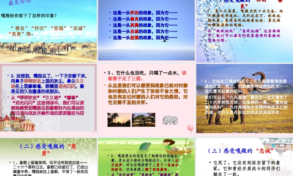 六年级语文上册 第七组 23最后一头战象课堂教学课件1 新人教版-新人教版小学六年级上册语文课件