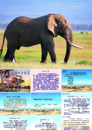 六年级语文上册 第七组 23最后一头战象课堂教学课件2 新人教版-新人教版小学六年级上册语文课件