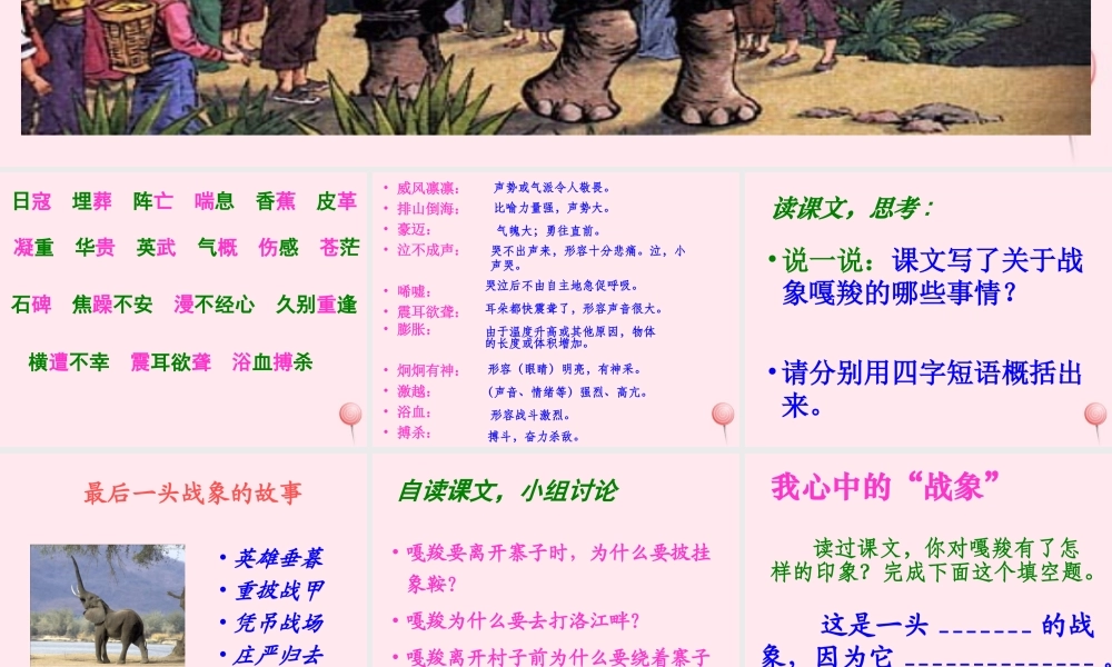 六年级语文上册 第七组 23最后一头战象课堂教学课件3 新人教版-新人教版小学六年级上册语文课件