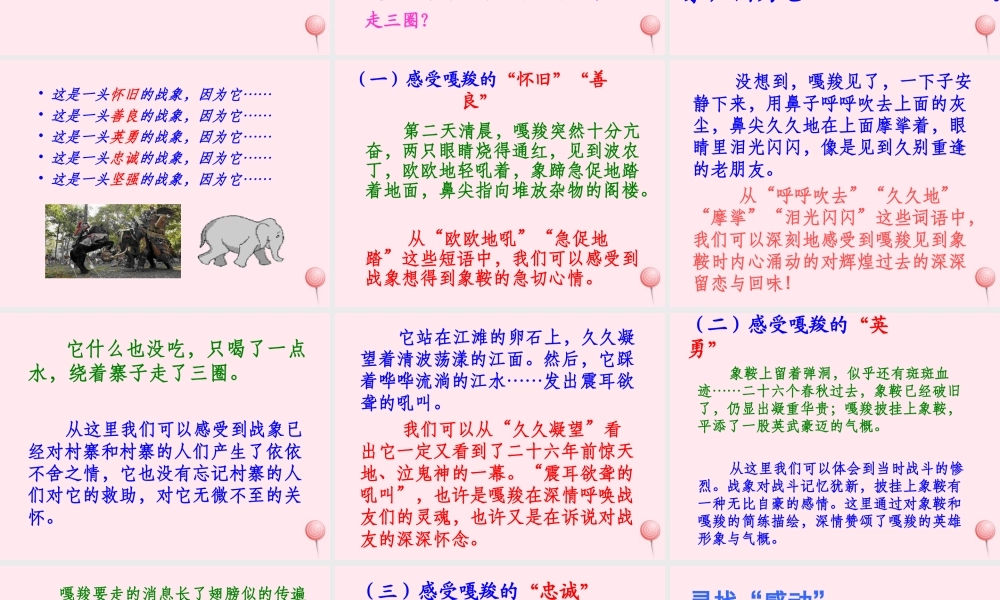 六年级语文上册 第七组 23最后一头战象课堂教学课件3 新人教版-新人教版小学六年级上册语文课件