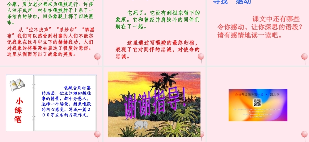 六年级语文上册 第七组 23最后一头战象课堂教学课件3 新人教版-新人教版小学六年级上册语文课件