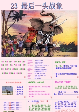 六年级语文上册 第七组 23最后一头战象课堂教学课件3 新人教版-新人教版小学六年级上册语文课件