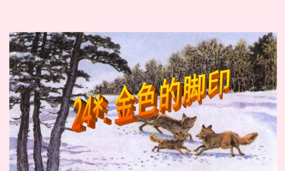 六年级语文上册 第七组 24金色的脚印课堂教学课件1 新人教版-新人教版小学六年级上册语文课件