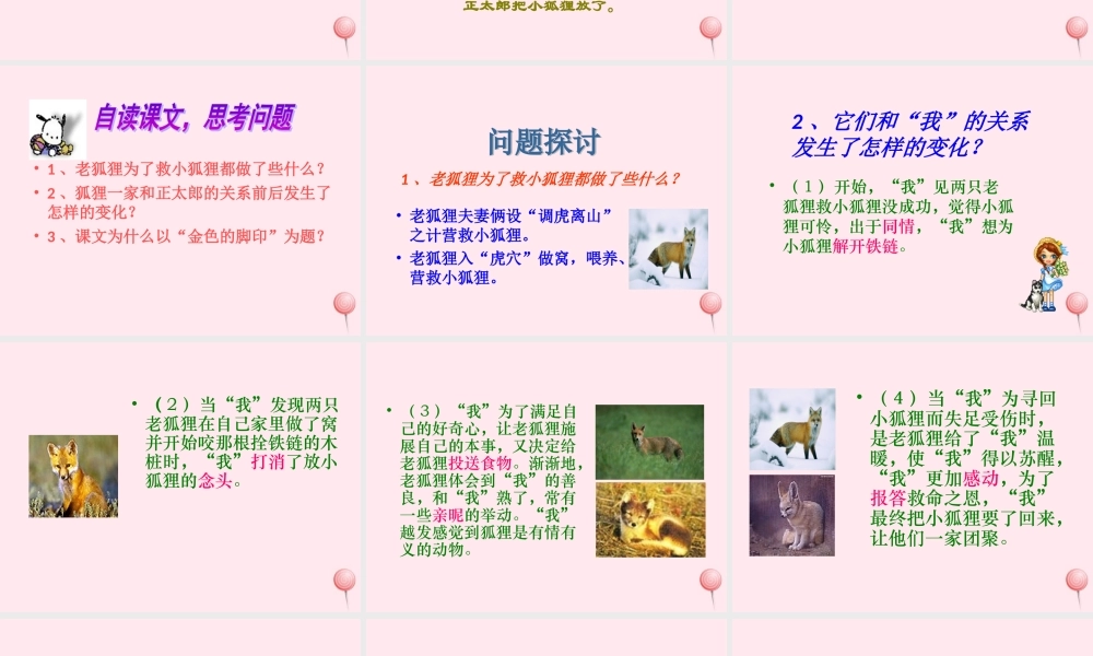 六年级语文上册 第七组 24金色的脚印课堂教学课件1 新人教版-新人教版小学六年级上册语文课件