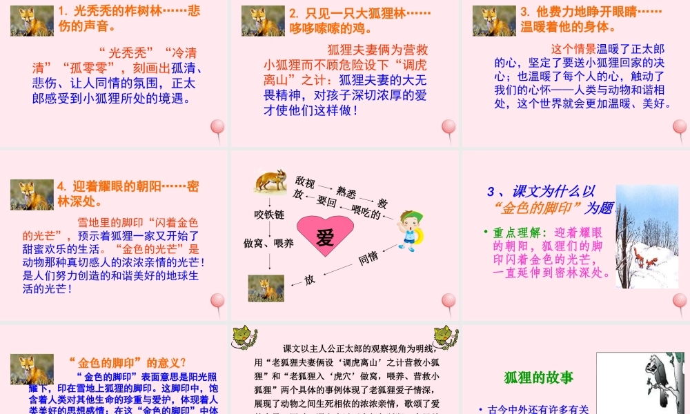 六年级语文上册 第七组 24金色的脚印课堂教学课件1 新人教版-新人教版小学六年级上册语文课件