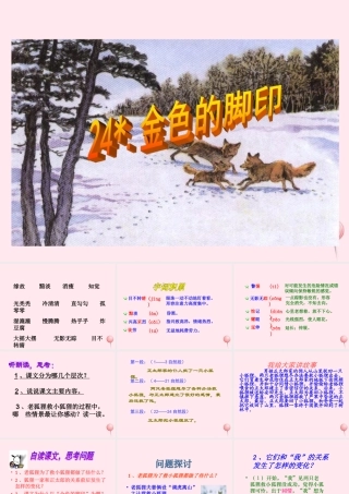 六年级语文上册 第七组 24金色的脚印课堂教学课件1 新人教版-新人教版小学六年级上册语文课件