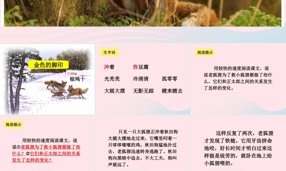六年级语文上册 第七组 24金色的脚印课堂教学课件2 新人教版-新人教版小学六年级上册语文课件