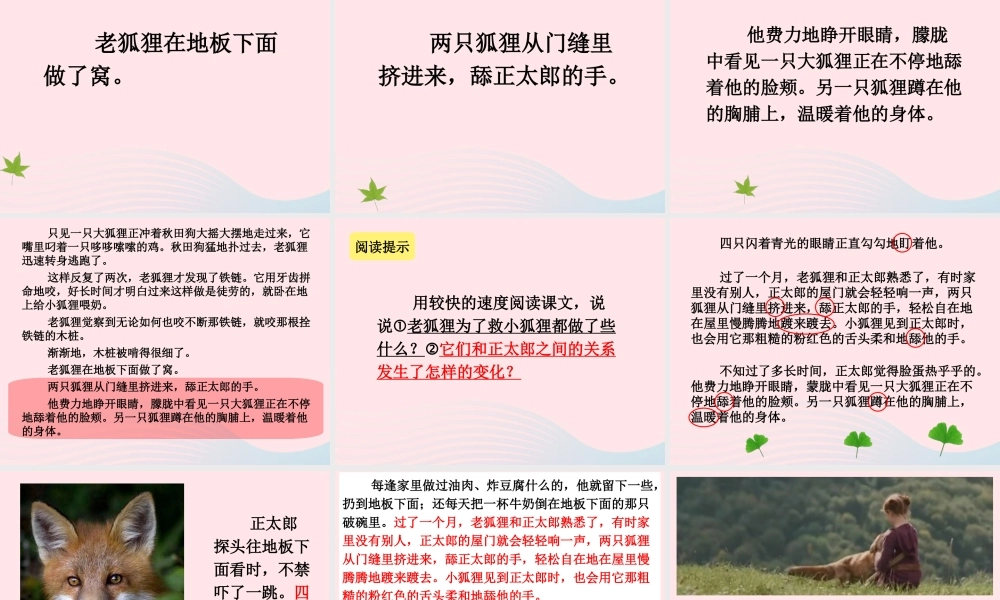 六年级语文上册 第七组 24金色的脚印课堂教学课件2 新人教版-新人教版小学六年级上册语文课件