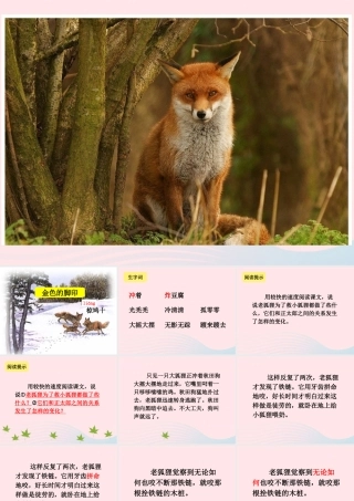 六年级语文上册 第七组 24金色的脚印课堂教学课件2 新人教版-新人教版小学六年级上册语文课件