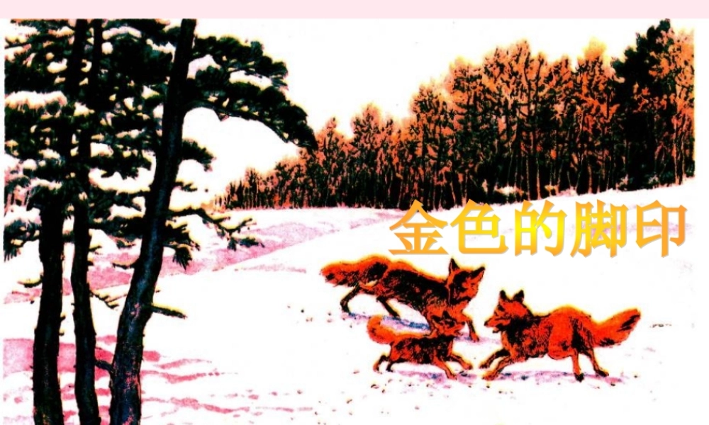 六年级语文上册 第七组 24金色的脚印课堂教学课件3 新人教版-新人教版小学六年级上册语文课件