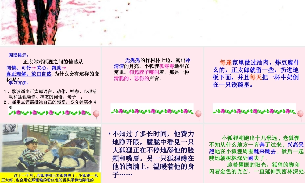 六年级语文上册 第七组 24金色的脚印课堂教学课件3 新人教版-新人教版小学六年级上册语文课件