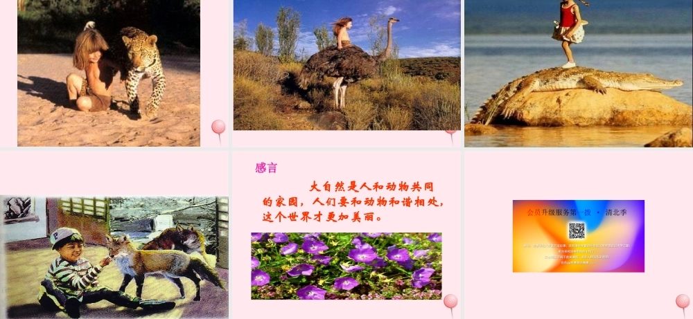 六年级语文上册 第七组 24金色的脚印课堂教学课件3 新人教版-新人教版小学六年级上册语文课件