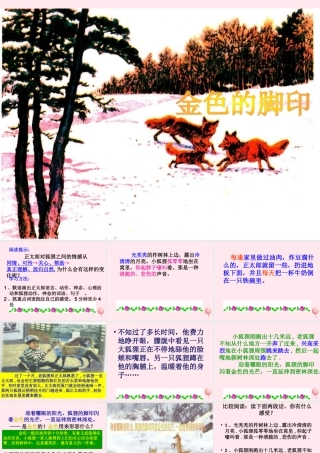 六年级语文上册 第七组 24金色的脚印课堂教学课件3 新人教版-新人教版小学六年级上册语文课件