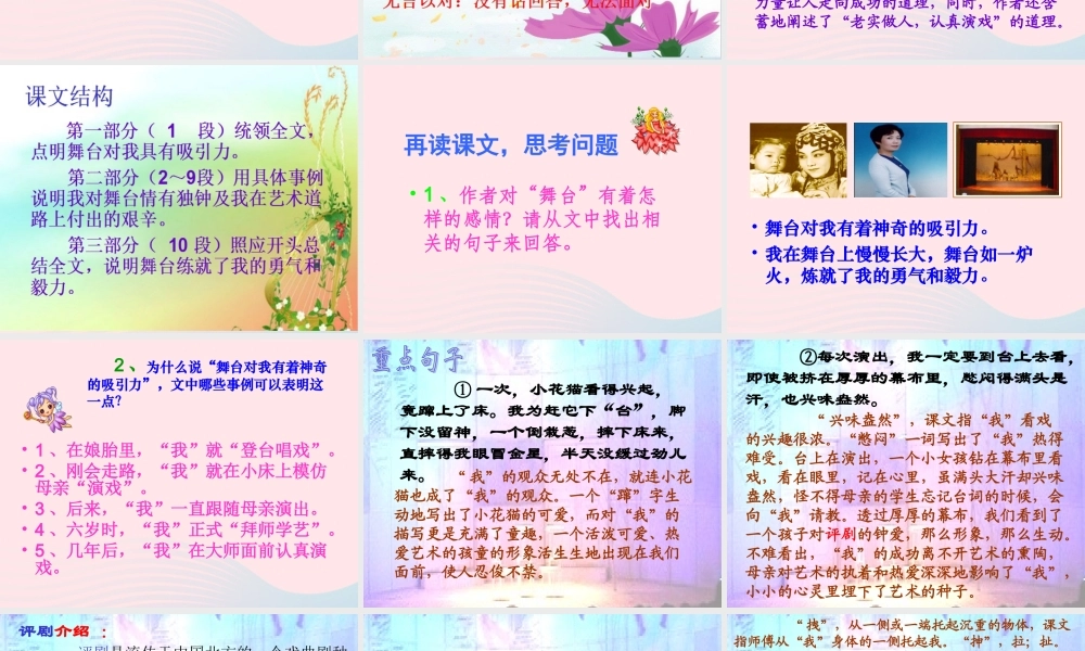 六年级语文上册 第八组 28《我的舞台》课堂教学课件1 新人教版-新人教版小学六年级上册语文课件