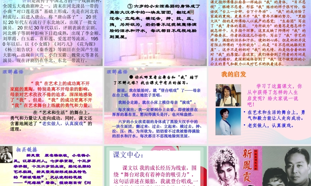 六年级语文上册 第八组 28《我的舞台》课堂教学课件1 新人教版-新人教版小学六年级上册语文课件