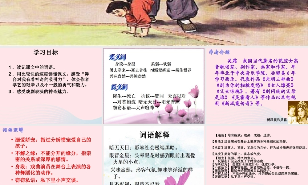 六年级语文上册 第八组 28《我的舞台》课堂教学课件2 新人教版-新人教版小学六年级上册语文课件