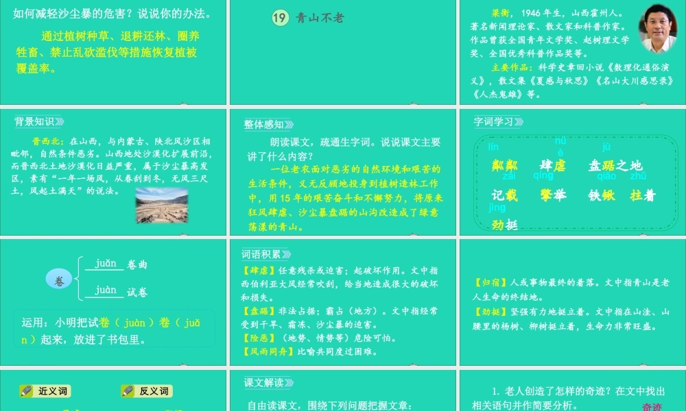 六年级语文上册 第六单元 19 青山不老课件