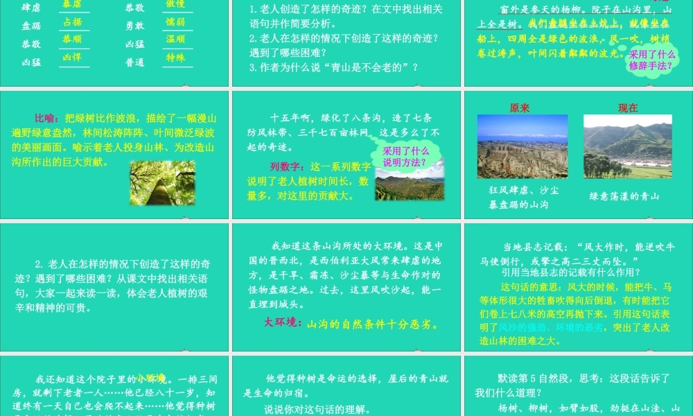 六年级语文上册 第六单元 19 青山不老课件