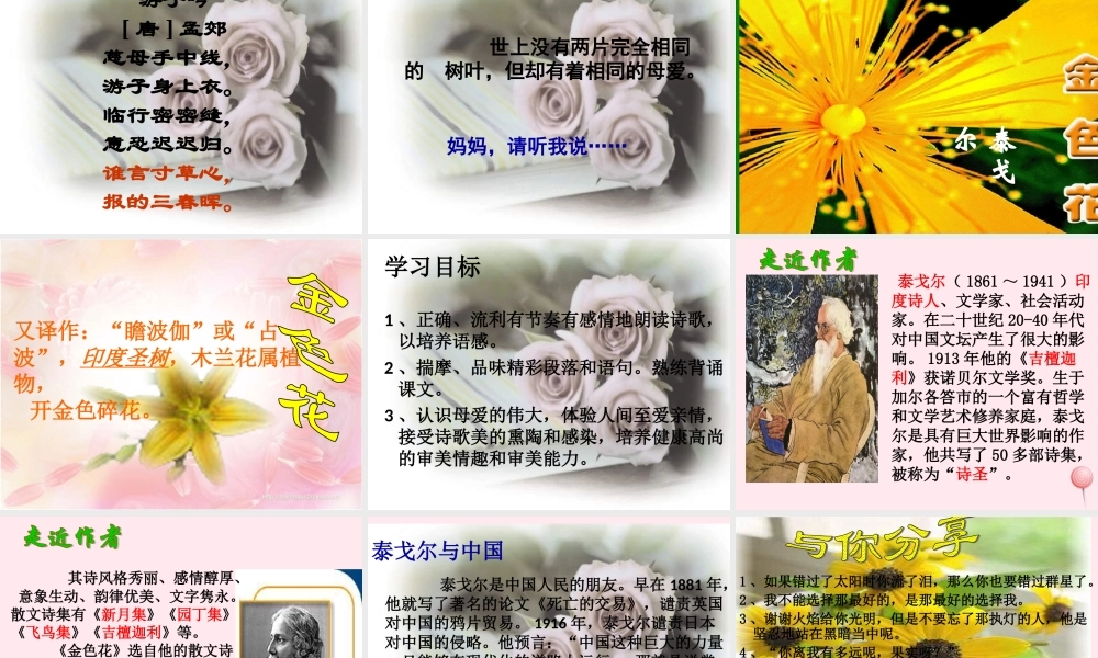 六年级语文上册 第三单元 11《金色花》精品课件推荐 北京版-北京版小学六年级上册语文课件