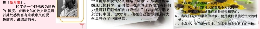 六年级语文上册 第三单元 11《金色花》精品课件推荐 北京版-北京版小学六年级上册语文课件