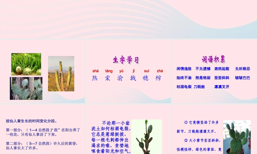 六年级语文上册 第三单元 11《金色花》课件 北京版-北京版小学六年级上册语文课件