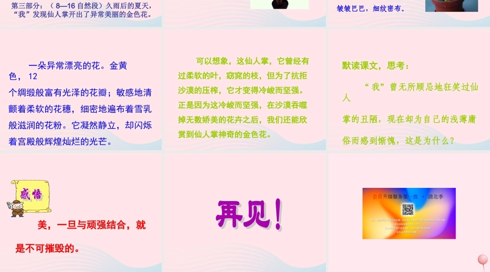 六年级语文上册 第三单元 11《金色花》课件 北京版-北京版小学六年级上册语文课件