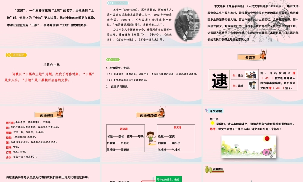 六年级语文上册 第六单元 20 三黑和土地教学课件 新人教版-新人教版小学六年级上册语文课件