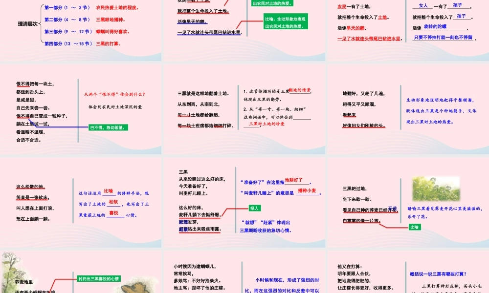 六年级语文上册 第六单元 20 三黑和土地教学课件 新人教版-新人教版小学六年级上册语文课件