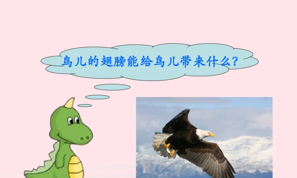 六年级语文上册 第三单元 11《心的翅膀》优培课件 冀教版-冀教版小学六年级上册语文课件