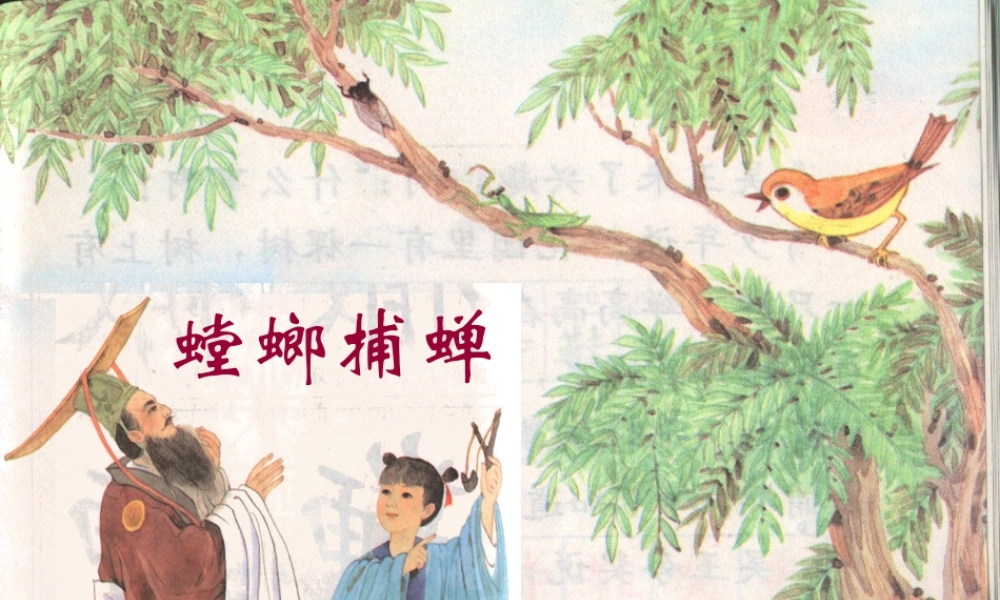 六年级语文上册 第六单元 22《螳螂捕蝉》课件 北京版-北京版小学六年级上册语文课件