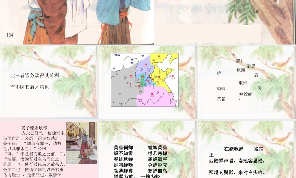 六年级语文上册 第六单元 22《螳螂捕蝉》课件 北京版-北京版小学六年级上册语文课件