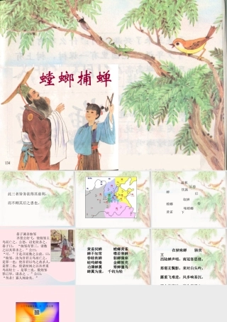 六年级语文上册 第六单元 22《螳螂捕蝉》课件 北京版-北京版小学六年级上册语文课件