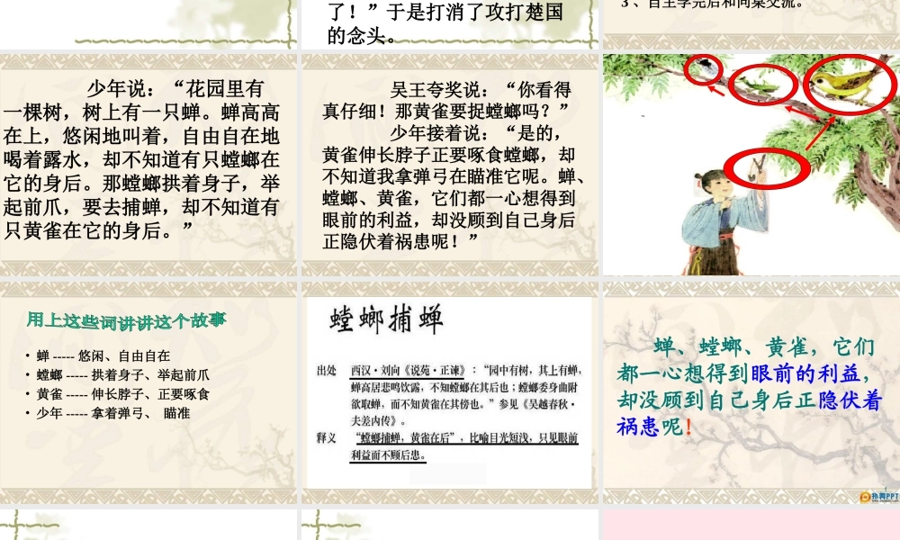 六年级语文上册 第六单元 22《螳螂捕蝉》课件1 北京版-北京版小学六年级上册语文课件