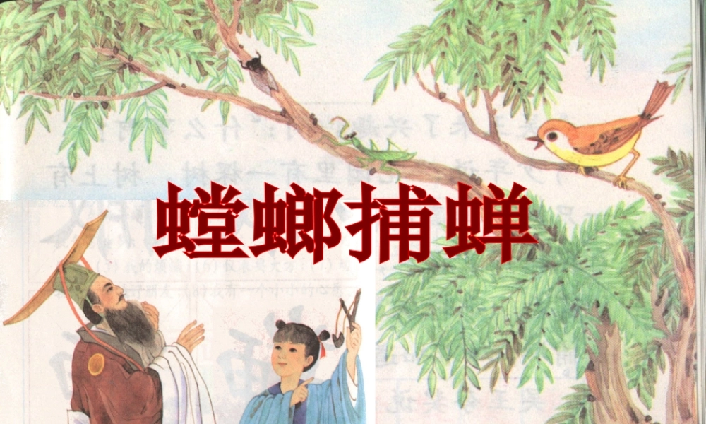 六年级语文上册 第六单元 22《螳螂捕蝉》课件2 北京版-北京版小学六年级上册语文课件